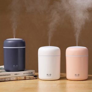 Mini Humidificateur à Brume Fraîche et Purificateur d'Air